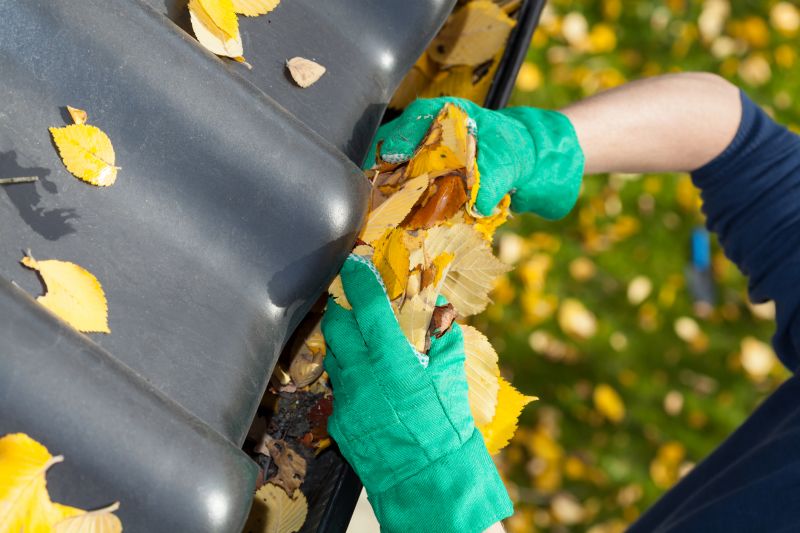 Holiday Season Gutter Maintenance